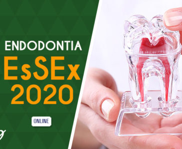 Endo EsSEx 2020